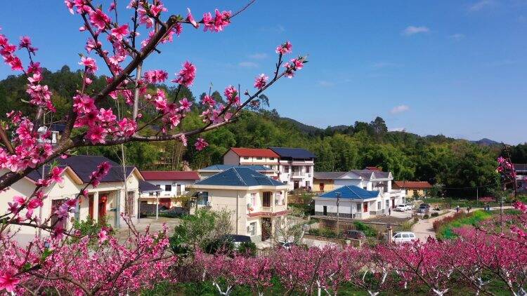 乡村全面振兴规划出炉 明确九大重点任务